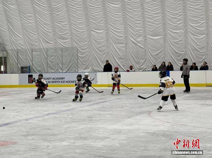 的哈尔滨再, 与奥运冠军, 冰场上 的哈尔滨再, 与奥运冠军, 冰场上